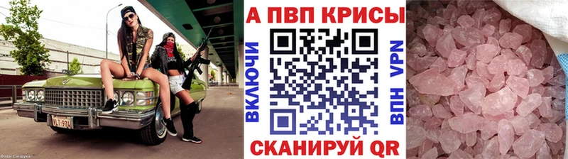 A PVP СК  Сунжа 