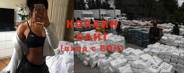 прущие крисы Алзамай
