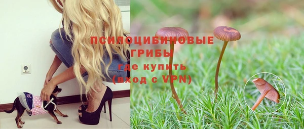 прущие крисы Алзамай