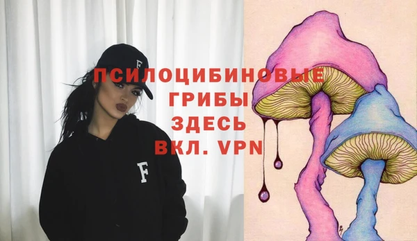кокаин перу Новозыбков