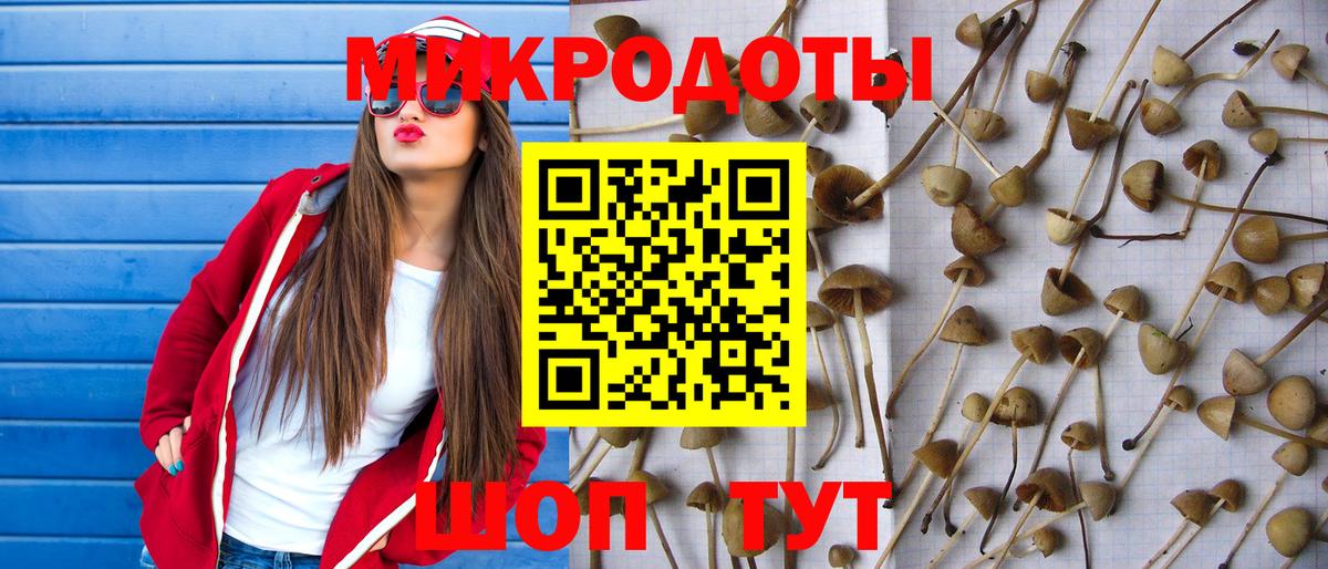 Галлюциногенные грибы мухоморы Сунжа