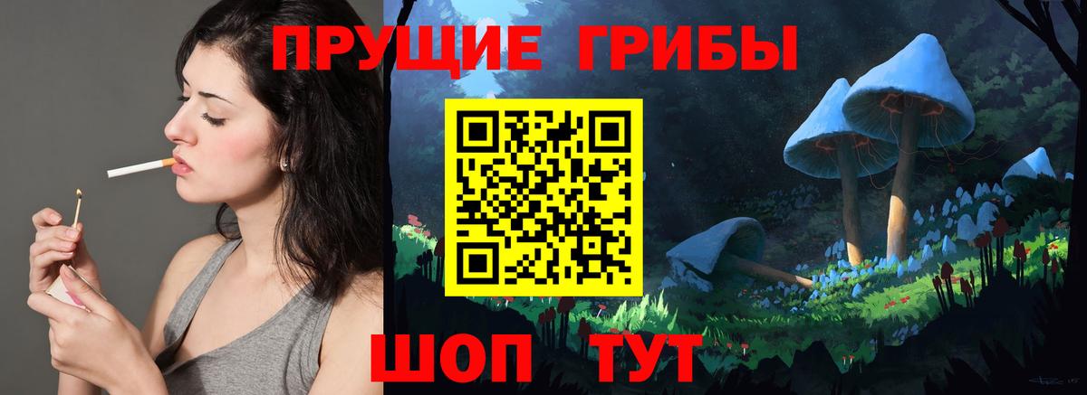 Галлюциногенные грибы Psilocybine cubensis  Вход с VPN  Галлюциногенные грибы GOLDEN TEACHER  Сунжа 